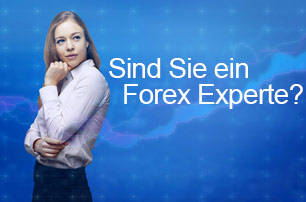 Forex Handel Quiz - 